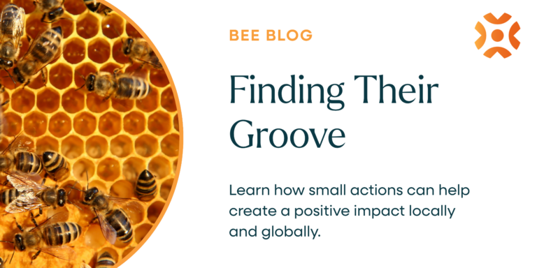 Queen Bee-Oncé and the Hive