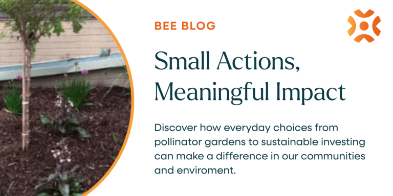 Bee Blog – Harvest Time