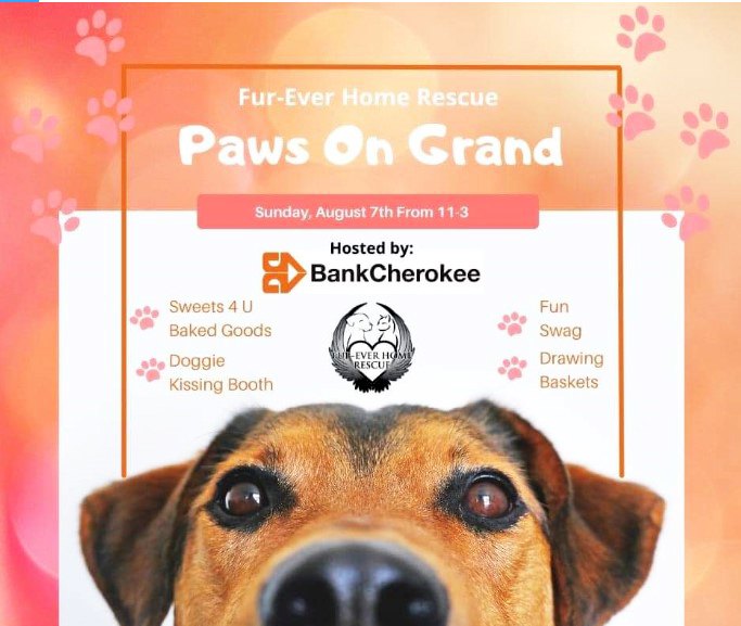 Paws On Grand